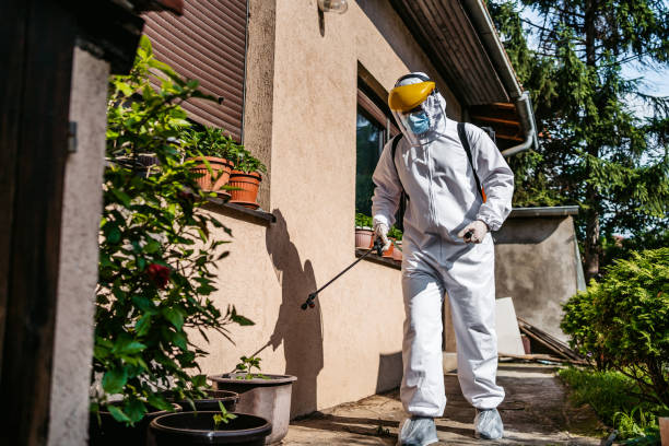 Best Local Pest Control Services  in Donaldsonville, LA