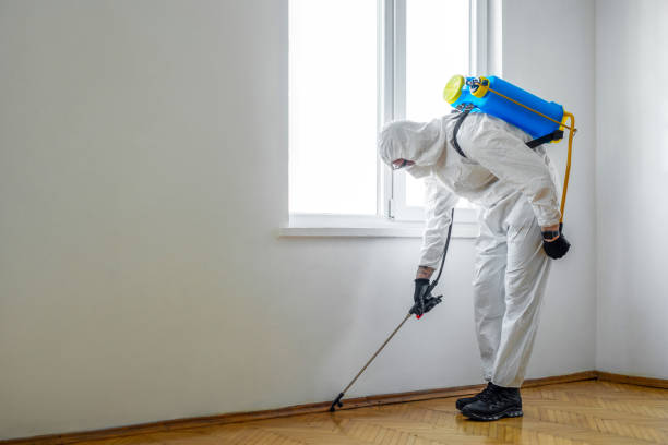 Best Pest Control for Homes  in Donaldsonville, LA