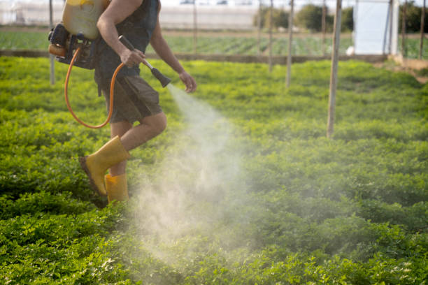Best Pest Inspection Near Me  in Donaldsonville, LA