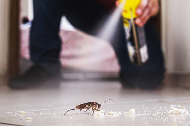 Reliable Donaldsonville, LA Pest Control Solutions