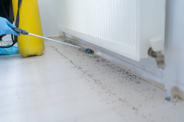 Best Pest Removal Services  in Donaldsonville, LA