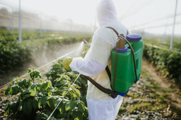 Best Residential Pest Control  in Donaldsonville, LA